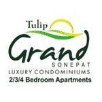 Tulip Grand