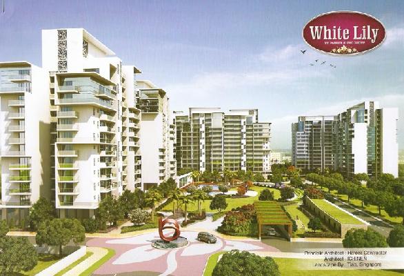 White Lily, Sonipat - 2,3 and 4 BHK Luxury Apartments