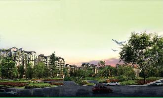 Amari Heights