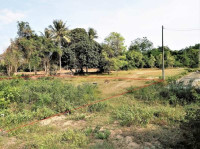 Bharani Avenues