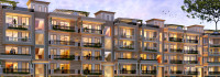 Motia Harmony Greens