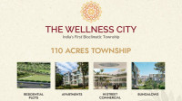 The Wellness City