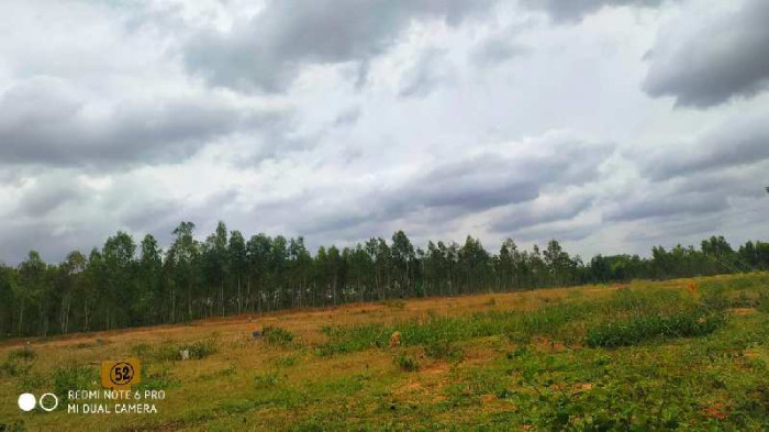 Green City, Bangalore - Green City