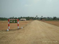 Royal Garden