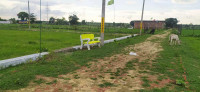 Rohtak Green City