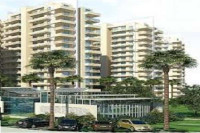 Essentia Saffron Homes