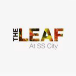 SS The Leaf