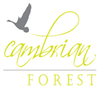 SKM Cambrian Forest