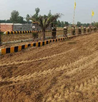 Aamby Valley