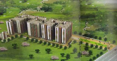 Ongoing Projects