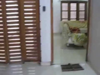 Dlf Regency Park 2