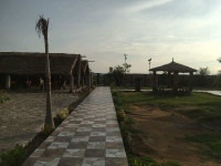 Bottle Palm Farms