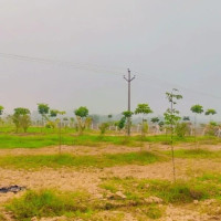 Ongoing Projects