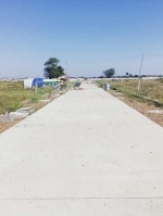 Mamta Golden Valley