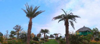 Green Valley Resort