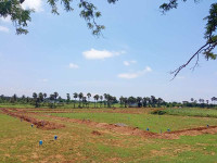Arun Avenue Phase 2