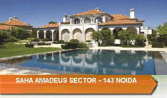 Amadeus - Sec-143