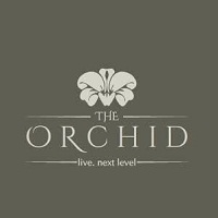 The Orchid