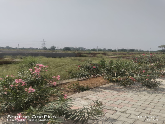 Nature Vally, Greater Noida - Residential Plot