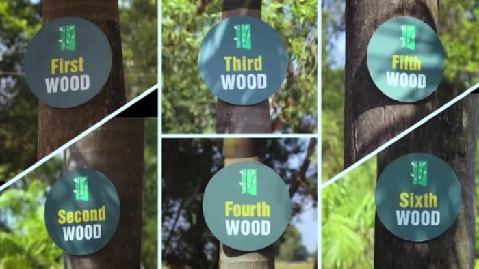 Six Woods, Pune - NA Plot