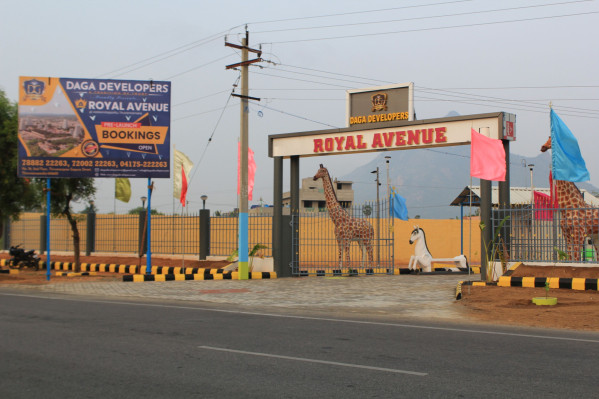 Royal Avenue, Tiruvannamalai - Residential Plot