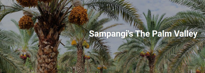 Sampangi The Palm Valley, Sangareddy - Farm Land