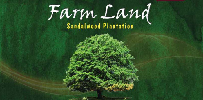 Green Star, Sangareddy - Farm Land