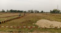 Orchard Green