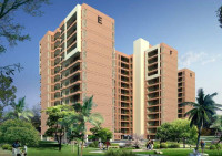 Palm Village