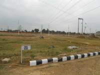 Green Valley