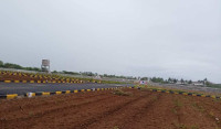 Green City