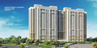 Dosti Oak