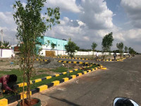 Amoga Township