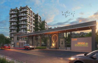Dream Gurukul