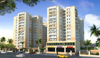 Swastik Gardenia