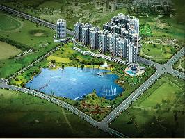 Ongoing Projects