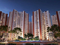 Dtc Capital City