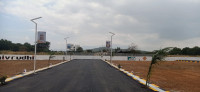 Vip City