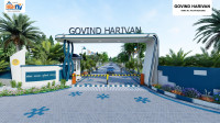 Ongoing Projects