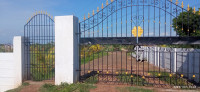 N  Farms