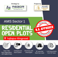 Ams Sectors 1