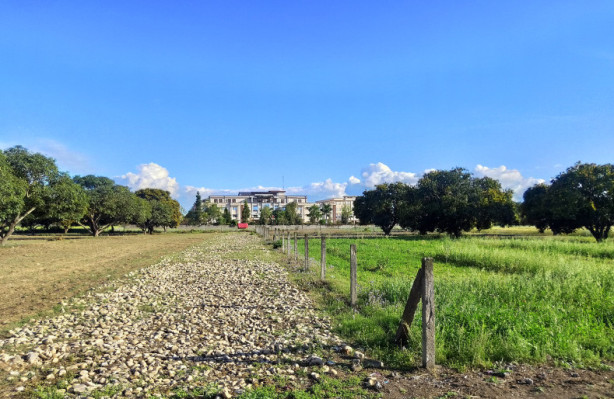 Devbhoomi Enclave, Dehradun - Residential Plots