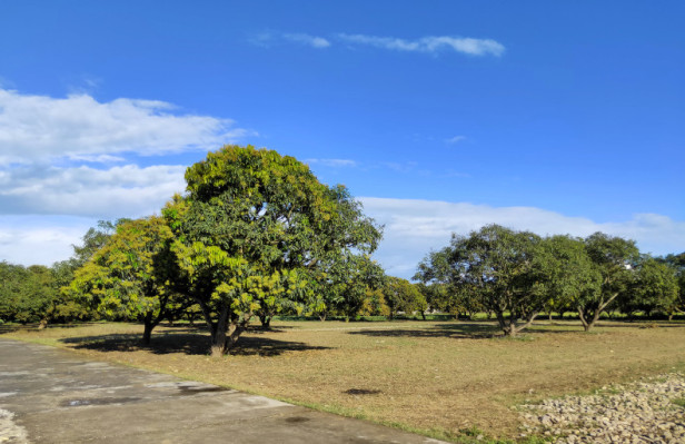 Devbhoomi Enclave, Dehradun - Residential Plots