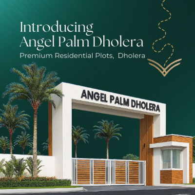 PALM DHOLERA, Ahmedabad - Residential Plot