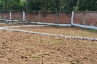 Ongoing Projects