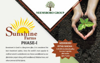 Sunshine Farms Phase 1