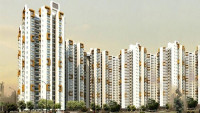 Mangalya Novena Green