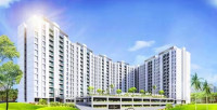 Spring Megapolis