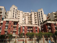 Jyoti Super Gardenia