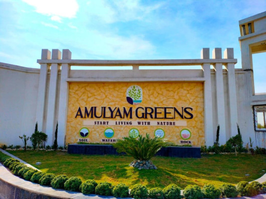 Amulyam Greens, Raipur - Residenatial Plots